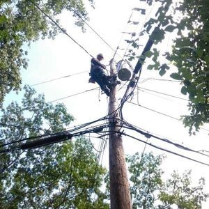 Meet your Posher, Brandy